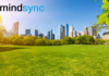 What MindSync is and How it Works