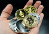 eToro’s Top Financial Markets Analyst Reveals His Three Favorite Cryptos