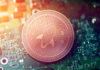 Stellar Foundation Burns 55 Billion XLM Tokens, Half of the Total Supply