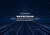 WaykiChain CEO: DeFi to Break Loose BTC From the King waykichain