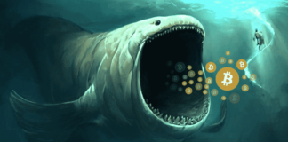 Massive Deposits By Bitcoin (BTC) Whales At Exchanges, Avoid ‘Buy on Dips’