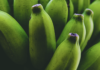 Mark Cuban not impressed with Bitcoin, prefers bananas!