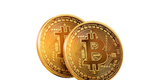 Investview reveals it holds over $1M in Bitcoin, altcoins on balance sheet
