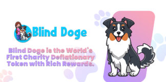 Blind Doge ($BDoge) Brings the World’s, First Charity Deflationary Token Blind Doge