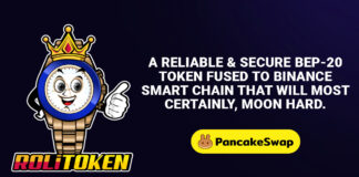 RoliToken Building a BSC based Digital Defi Community Roli Token