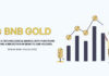 BNB Gold Brings a New Meaning to Hodling, Here’s Everything You Should Know BNB GOLD