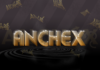 AnchEX to Double Professional Team Again in 2022, Plans to Employ Over 2500 Professionals This Year Anchex