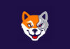 Trending NFT Communities: Cybershinu