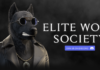Elite wolf society catches the attention of the NFT community Elite Wolf Society