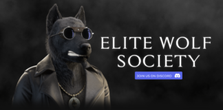 Elite wolf society catches the attention of the NFT community Elite Wolf Society