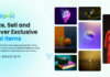 HOvr Offers the Best NFTs to Investors and Collectors at Low Transaction Fees.