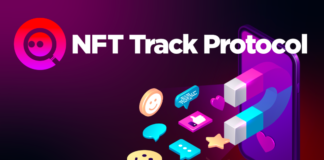 NTP Project, the Content Solution Solving NFT Ownership Problem