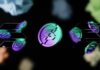 Solana proposes new Move to silence critic-fueled FUD