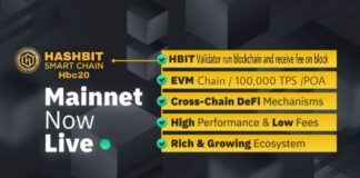 All you need to know about HBIT.HBC20 Chain.