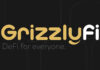 Grizzly.fi: The Platform Revolutionizing Investments in De-Fi