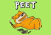 Community Takes Over and Revives Solana-Based Memecoin, Peet