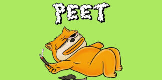 Community Takes Over and Revives Solana-Based Memecoin, Peet