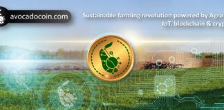 AvocadoCoin: The Ultimate Fusion of Blockchain and Sustainable Agriculture