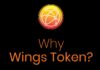 WINGS TOKEN (WINGS) will be listed on the exchange on August 3rd 2024