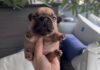 From Rugged to Riches: Why Mynugga ($NUG) Is the Memecoin You Gotta Be On mynugga.dog
