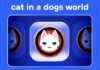 MEW: A Feline Apex in the Dog-Dominated Crypto World