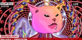 What is Pussy Financial (PUSSY)? Memecoin Cat on Ethereum Network