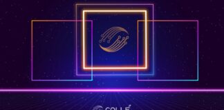 Colle AI (COLLE) Integrates Ripple’s XRP Ledger for Seamless Multichain NFT Transactions