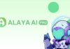Alaya AI Pro: Leading the Autonomous Driving Data Revolution