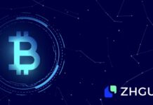 Globalisation and Localisation: The Strategic Ecosystem Partnerships of ZHGUI Exchange