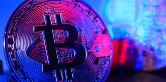 CryptoNewsFeeds Publishes Exclusive Sportsbet.io Review in French, Offering Transparent Insights for Crypto Gaming Fans
