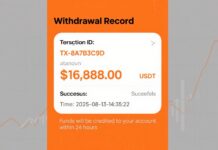 MystBox: A New Era of Daily Crypto Earnings