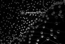 Imagen Network Collaborates with xAI to Deliver Multimodal Creation Across Decentralized Platforms