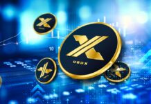 USDX Aims to Redefine Stablecoins with Yield, Utility, and Real-World Demand