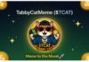 The Purr-fect Wave: How TabbyCatMeme ($TCAT) is Redefining the Meme Coin Game on Solana