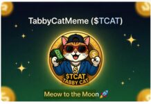 The Purr-fect Wave: How TabbyCatMeme ($TCAT) is Redefining the Meme Coin Game on Solana